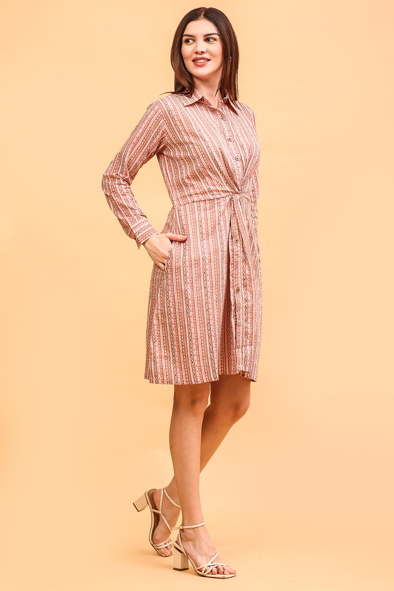 Azalea Shirt dress